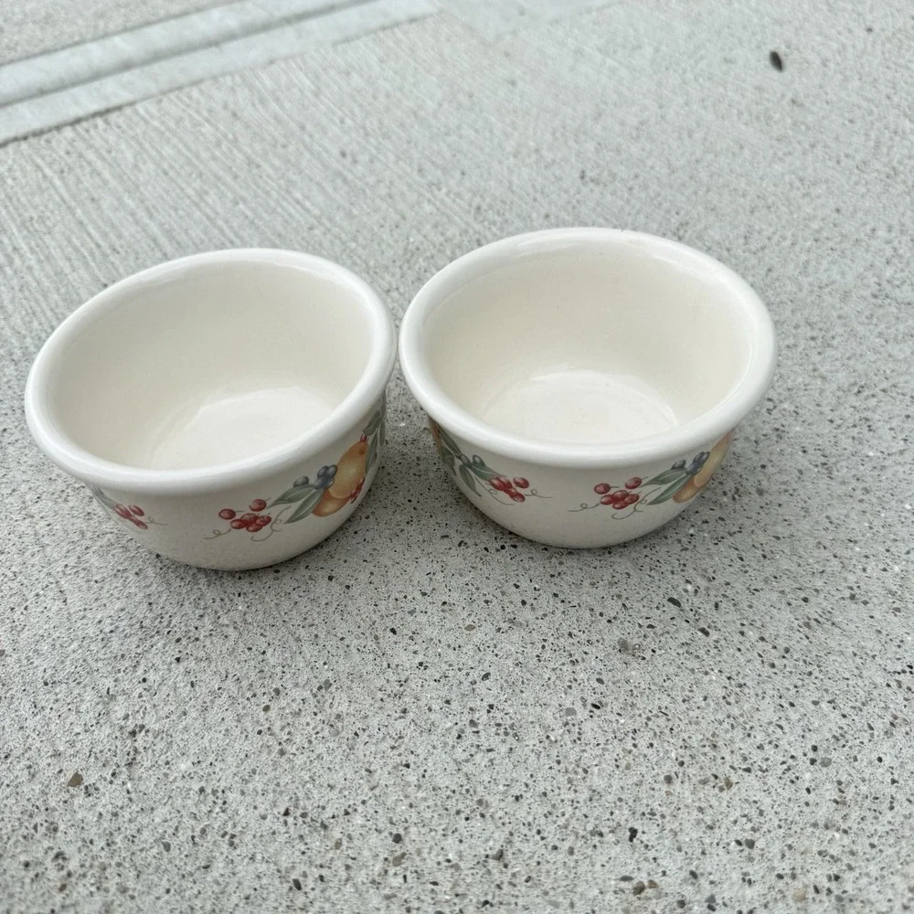 Corelle Coordinates Chutney Fruit Berry Stoneware Bowls Set 2 7 oz Vintage Y2K